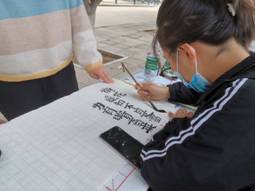 说明: IMG_256